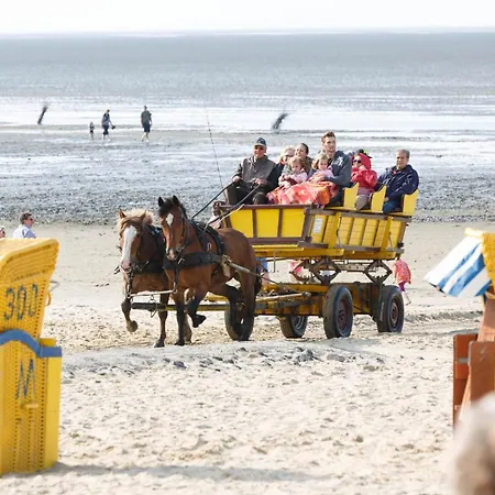 מלון Seeschwalbe 3*