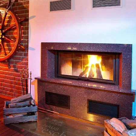 Seeschwalbe Cuxhaven