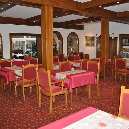 Seeschwalbe קושהאבן